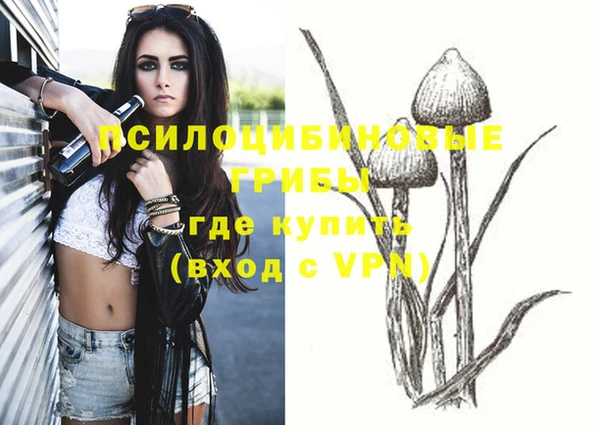 таблы Дмитров