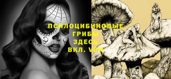 наркотики Дмитриев