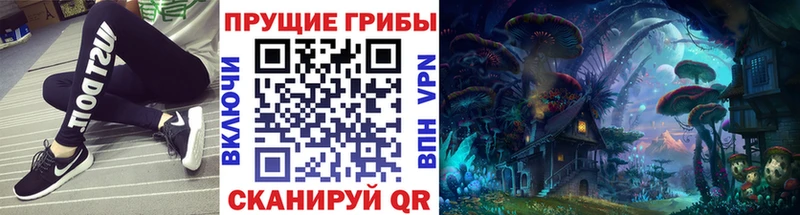 ОМГ ОМГ зеркало  Нальчик  Галлюциногенные грибы мицелий 